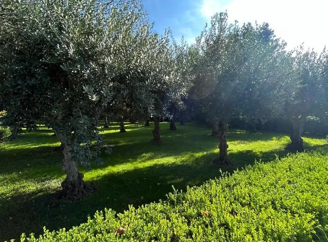 Il Giardino Di Athena 1
