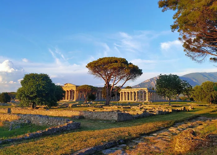 Il Giardino Di Athena